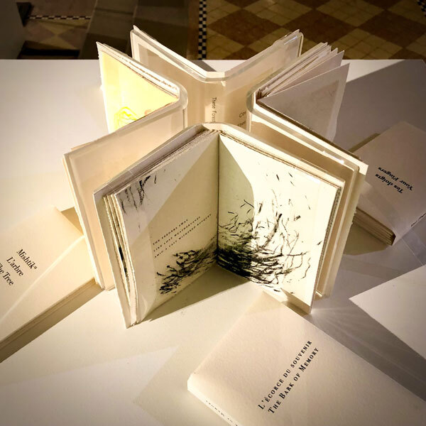 Alain Piroir , Livre d'artiste, collection Faiseurs d'images, 2017-2020, Matériaux divers et papier. Collection de l'artiste.