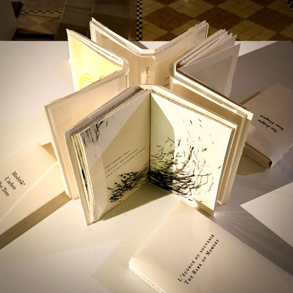 Alain Piroir , Livre d'artiste, collection Faiseurs d'images, 2017-2020, Matériaux divers et papier. Collection de l'artiste.